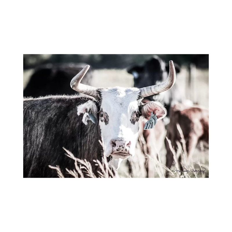 Number 170 by Melissa Hanley - Wrapped Canvas Print, 20.32 cm H x 30.48 cm W