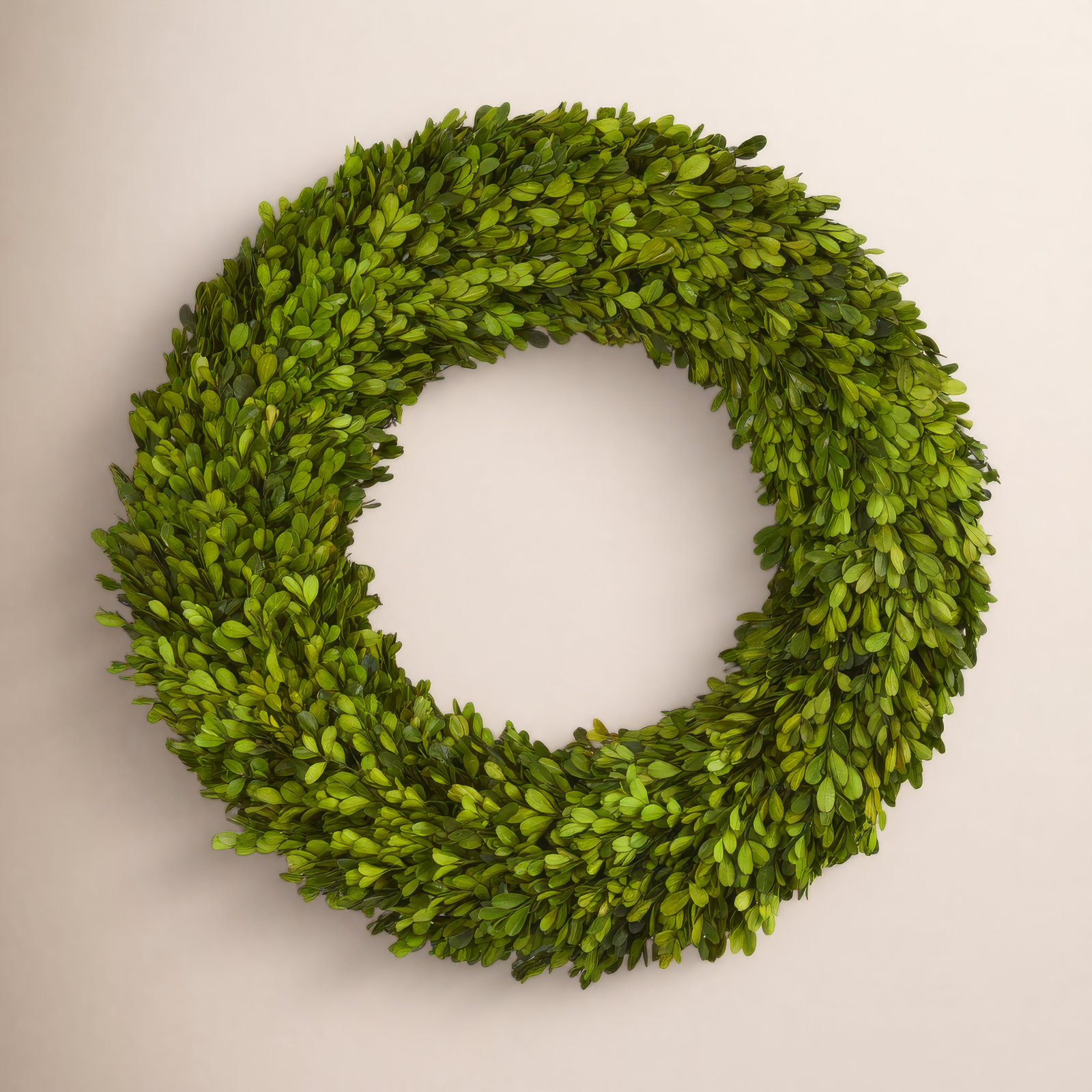 Easter Preserved Boxwood Real Greenery Wreath, 24in.