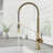 Livingston 24" H 1-handle DockLock™ Pull-Down 2-Function Sprayer Kitchen Faucet-100097128