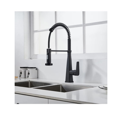 Robinet de cuisine à poignée simple avec douchette latérale Aquae Brant