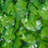 Artificial Hedge