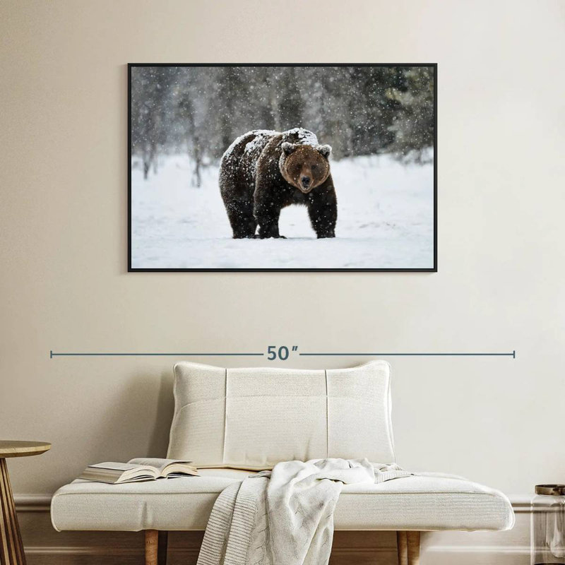 Winter Grizzly Bear, Floating Frame Black, 40" X 27"