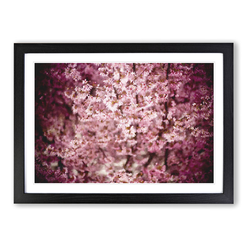 Pink Cherry Blossom Flowers Vol.5 - Picture Frame Graphic Art on MDF, 27cm H x 36cm W x 2cm D, Black Framed