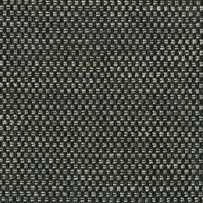 Tissu Shaffer