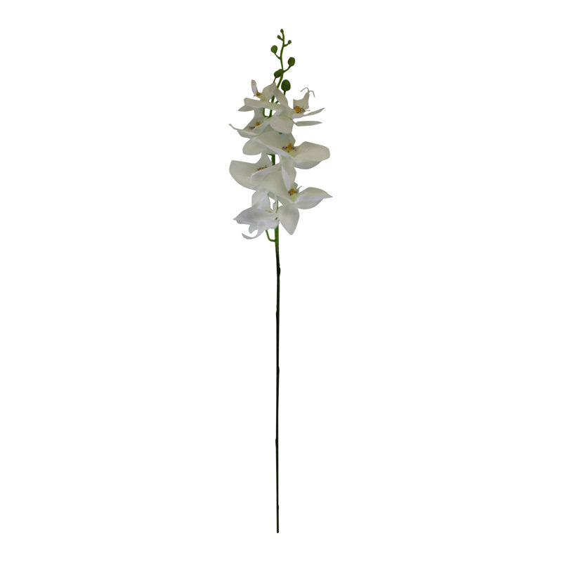 Orchid Arrangement, White