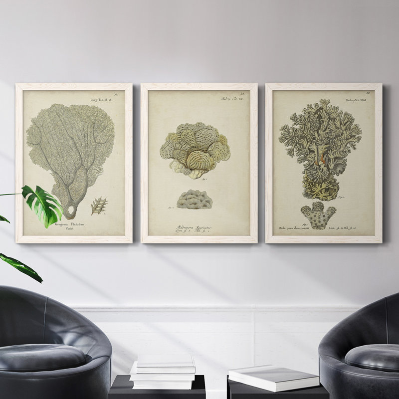 Écru corail IV - Ensemble de 3 peintures sur toile encadrées, H 43,5 po x l 31,5 po x P 1 po, Blanc