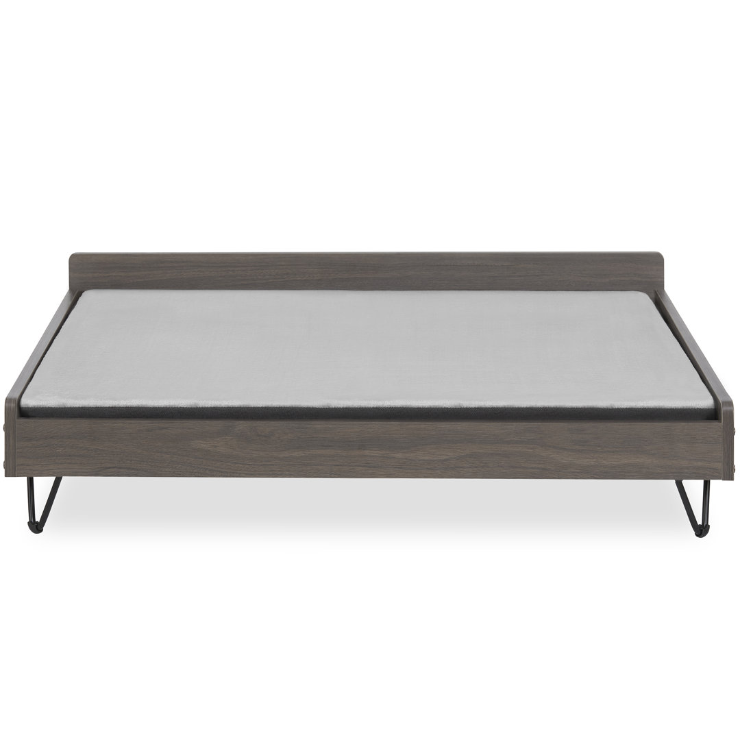 Brittine Dog Sofa Tucker Murphy Pet™ 