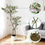 Arrangement
