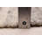 Burhardt Wool Indoor Rug