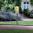 Ikeisha Transparent Lantern Head-638906965
