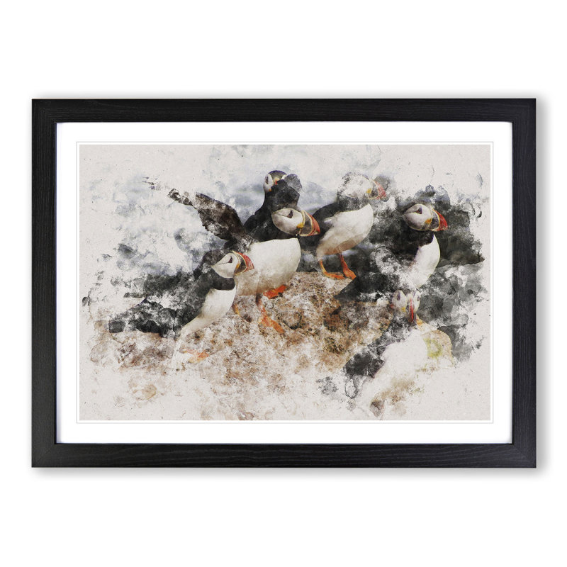 Atlantic Puffin Birds Vol.3 Watercolour - Framed Print, Black, 36cm H x 48cm W x 2cm D