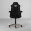 Inbox Zero Abbeydale Adjustable Padded Armrests and Reclining PC & Racing Game Chair