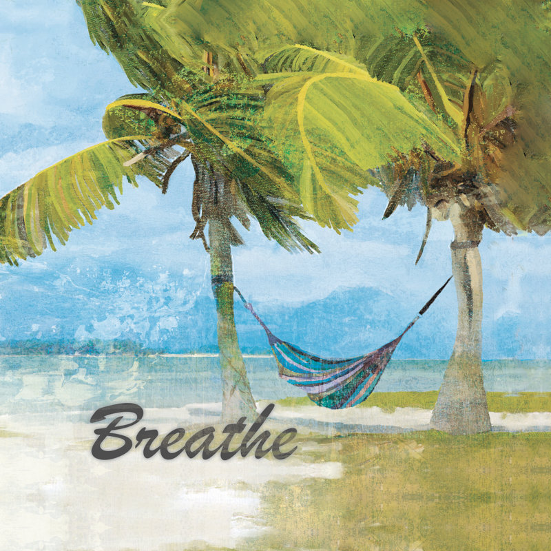 Breathe Hammock - Wrapped Canvas Print, 30cm H x 30cm W x 3.8cm D