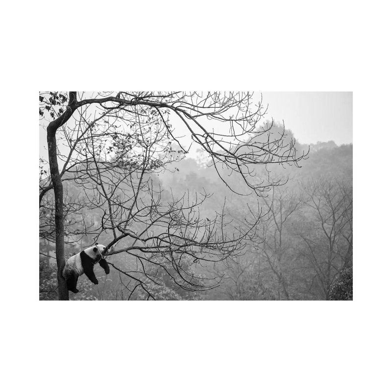 Relax by Alessandro Catta - Wrapped Canvas Painting, 20.32 cm H x 30.48 cm W x 1.91 cm D