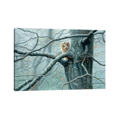 «Misty Encounter - Tawny Owl» par Jeremy Paul, reproduction d'art sur toile tendue