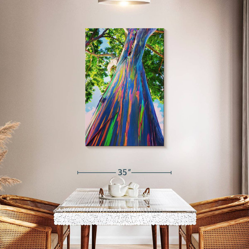 Harnek Hawaiian Rainbow Eucalyptus Tree, 45" H x 30" W