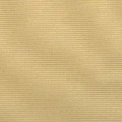Taffeta Weaves Fabric