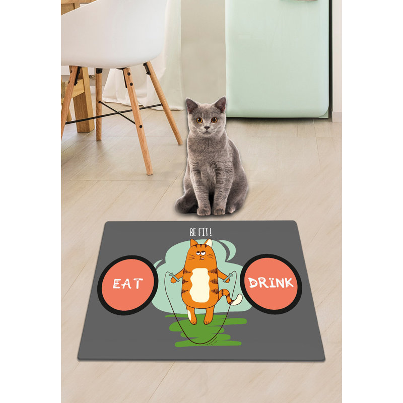 Cat Litter Mat