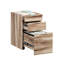 Organisateur de dossiers en bois avec finition pour l'organisation du bureau à domicile, trois tiroirs pour dossiers, dimensions compactes pour petits espaces, coordination esthétique de couleur brune, organisation à finition fluide