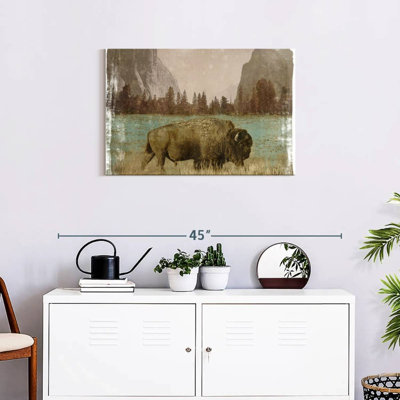 Bison In The Park