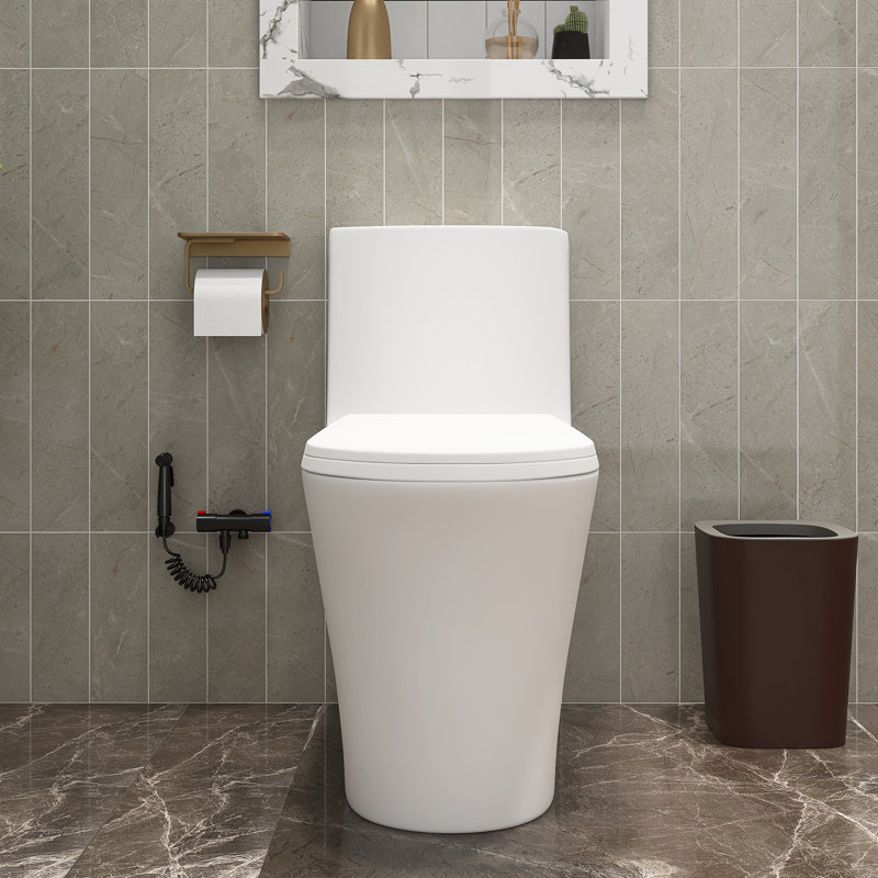 TCYO GPF Elongated One-Piece Toilet (Seat Included)