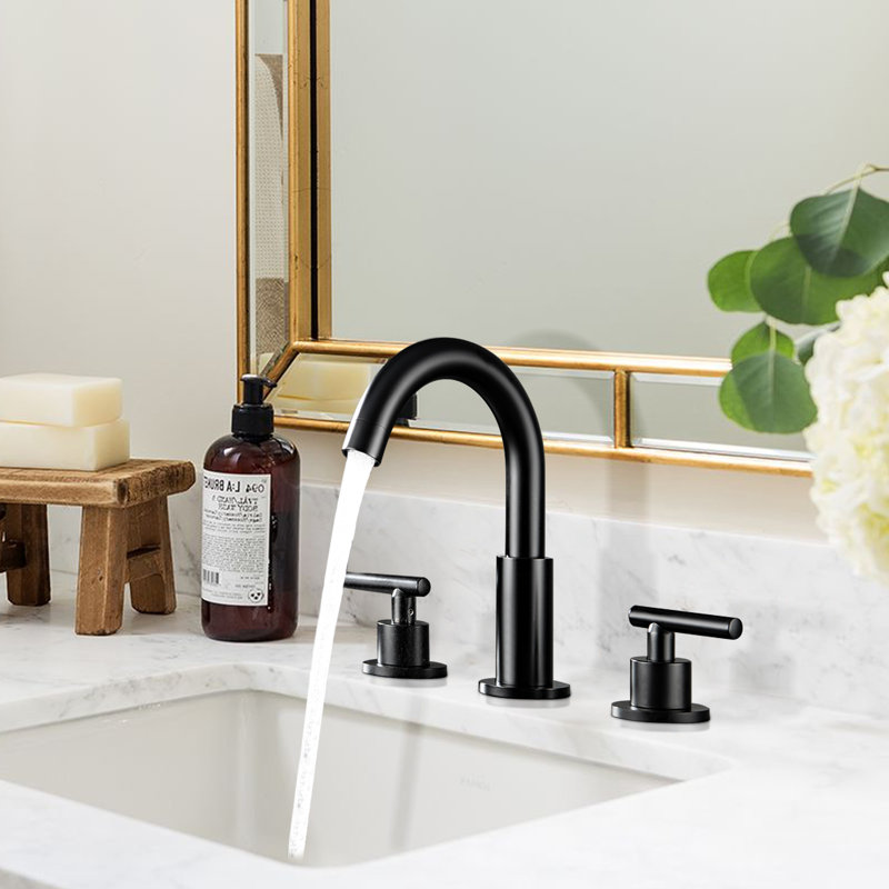 Bathroom Faucet with Drain Assembly, Matte Black