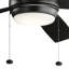 Starkk 60'' Ceiling Fan with LED Lights