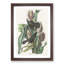 Common Crow Blackbird by John Audubon - Picture Frame Painting-57864542-57864540