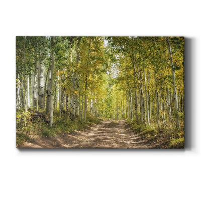 " Aspen Drive "