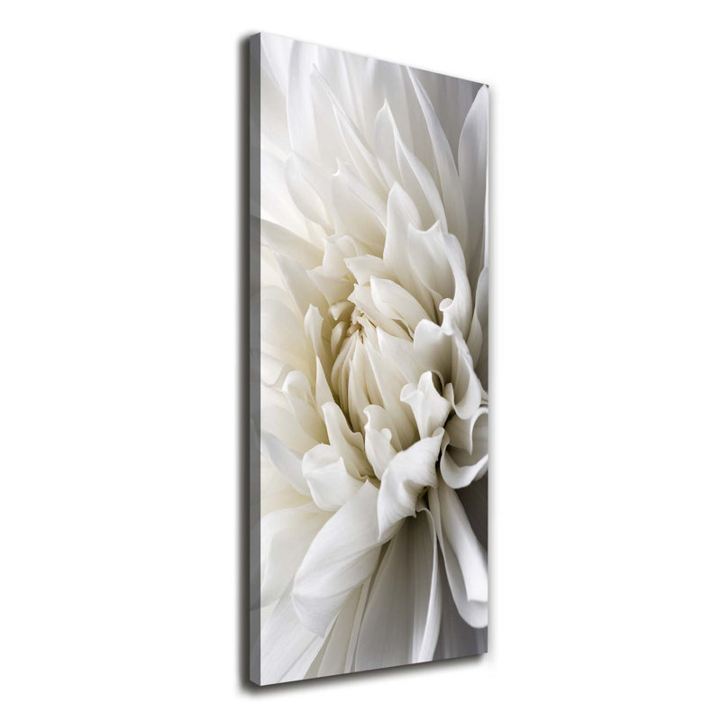 White Dahlia - Wrapped Canvas Print
