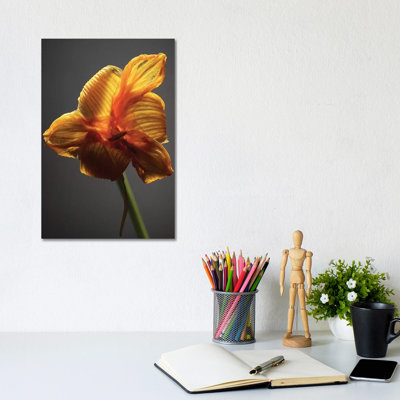 Studio Flowers XI by James McLoughlin - Wrapped Canvas Print