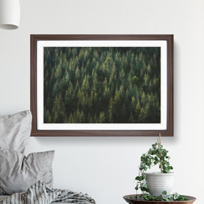 Beauty Of The Pine Tree Forest - Single Picture Frame Painting on MDF