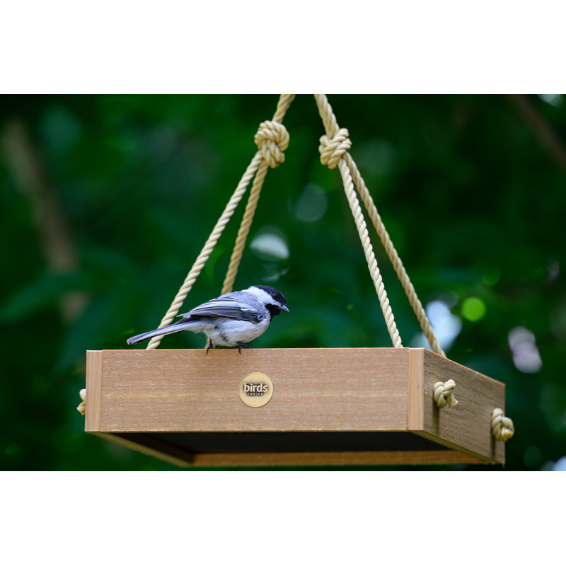 Mangeoire d'oiseaux Birds Choice, Teck naturel