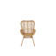 Daniell Wicker Outdoor Lounge Chair