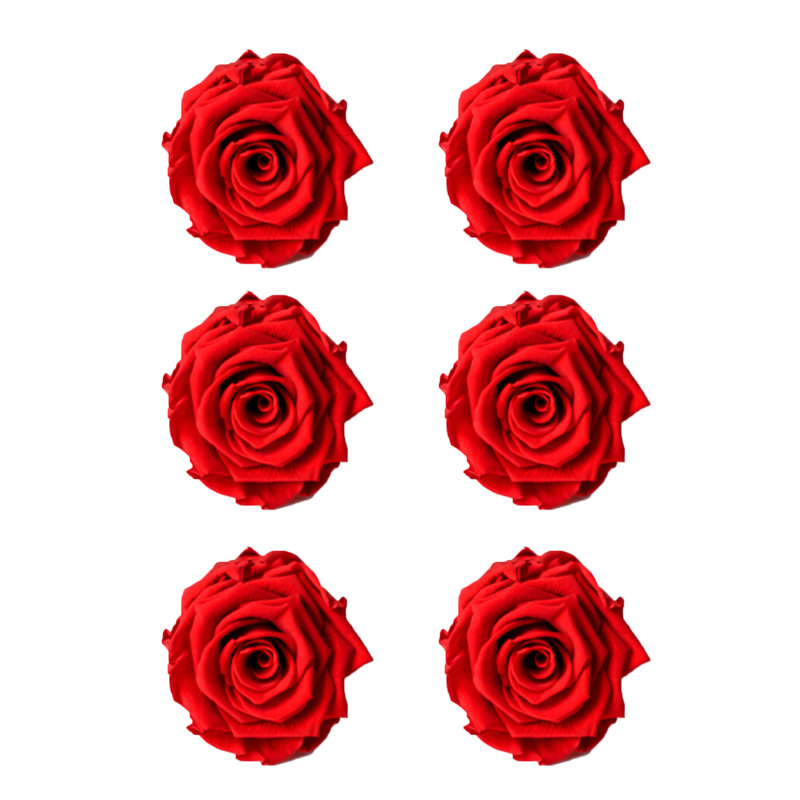 Faux rose, Rouge