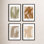 Zabini "Marine Flora" 4-Piece Wall Art Set