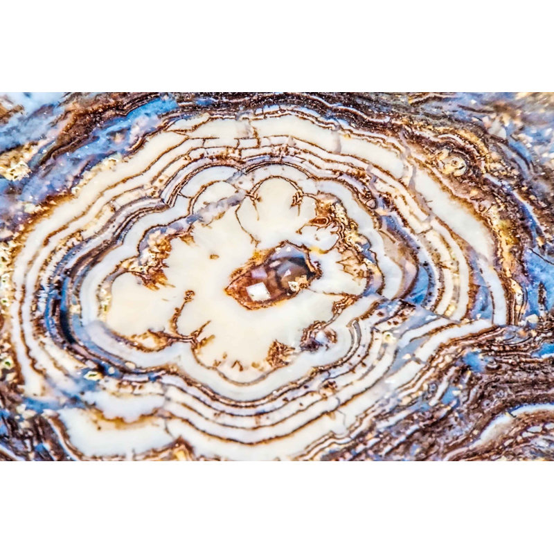 Earth Rings by Marmont Hill - Wrapped Canvas Painting, 61 cm H x 91 cm W