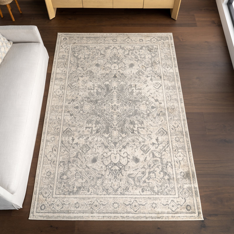 Downley Traditional DIstressed Area Rug, Rectangle 4' x 6'