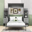 Full/Queen Murphy Bed with Drawers,Shelves and LED Lights-1079025139-1079025140