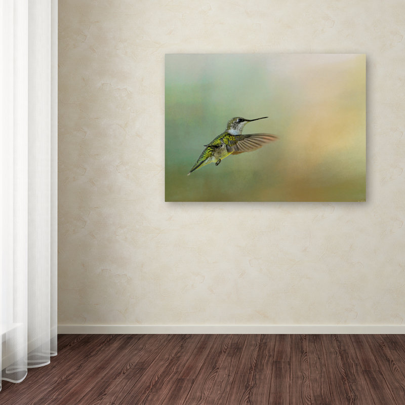«Peaceful Day With a Hummingbird», impression sur toile tendue Vidur, H 24 po x l 32 po