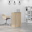 Stefhon Standing Desk-618553585