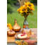 Tuscan Sunset Cheese Dome with Plate