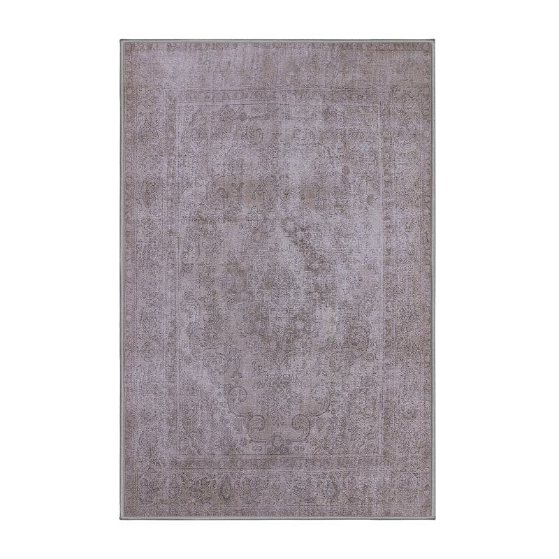 Delphos Oriental Indoor Rug, Rectangle 3' x 5'