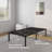 Zeta 16'' Metal Platform Bed-98234057