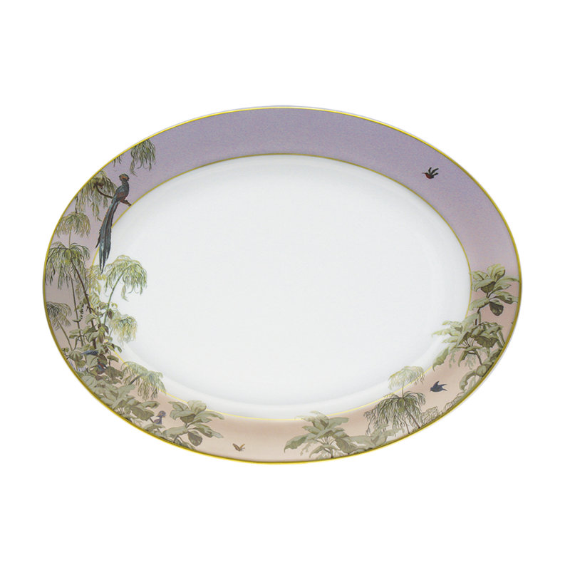 Le Brésil Porcelain China Platter