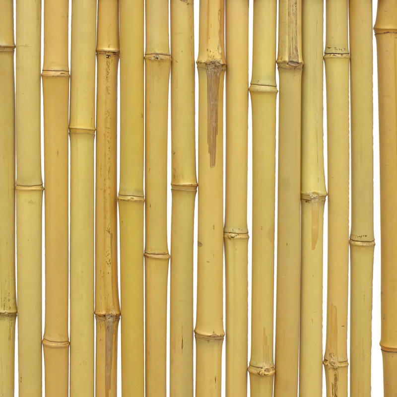 Panneau de clôture North Garden Zen, 6' H x 3' W, Bambou clair