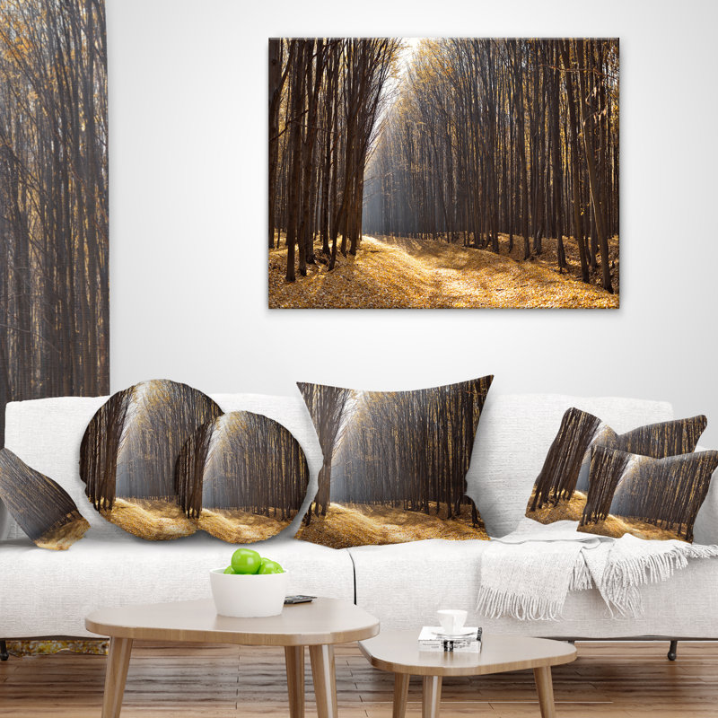 «Light in the Forest Path Panorama» - Coussin imprimé forêt, 16 po x 1 po, Coussin décoratif