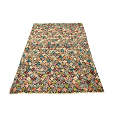 4x6 Peter Multi Rug