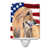 Afghan Hound