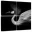 Black And White Crane
